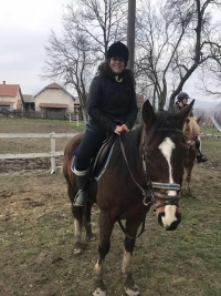 Druženje sa konjima